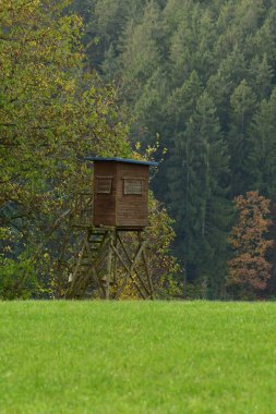 Hunting Stand Lisesi 'nden Odenwald Almanya. Yüksek kalite fotoğraf