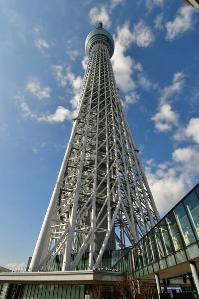 Японская телебашня Tokyo Sky Tree. Высокое качество фото