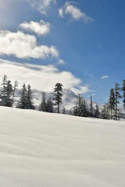 Kış Dağı Manzarası Biei Fuji Hokkaido Dağı Japonya. Yüksek kalite fotoğraf