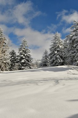 Kış Dağı Manzarası Biei Fuji Hokkaido Dağı Japonya. Yüksek kalite fotoğraf