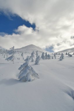 Dağın manzarası. Biei Fuji Hokkaido Japonya kar manzarası mavi gökyüzü. Yüksek kalite fotoğraf