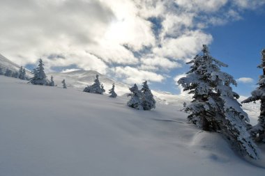 Dağın manzarası. Biei Fuji Hokkaido Japonya kar manzarası mavi gökyüzü. Yüksek kalite fotoğraf