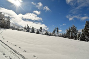 Kış Dağı Manzarası Biei Fuji Hokkaido Dağı Japonya. Yüksek kalite fotoğraf