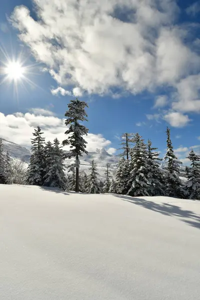 Paesaggio Montano Invernale Monte Biei Fuji Hokkaido Giappone Foto Alta — Foto Stock