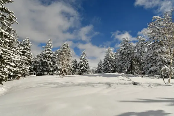 Paesaggio Montano Invernale Monte Biei Fuji Hokkaido Giappone Foto Alta — Foto Stock