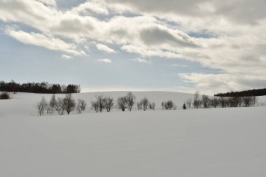 Biei Japon Doğa güzelliği yakınlarındaki Hokkaido tepelerinde kar manzarası. Yüksek kalite fotoğraf