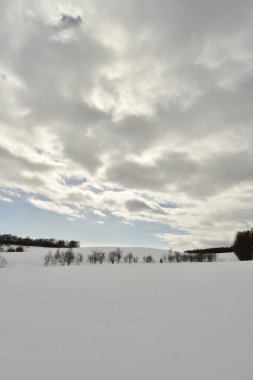 Biei Japon Doğa güzelliği yakınlarındaki Hokkaido tepelerinde kar manzarası. Yüksek kalite fotoğraf