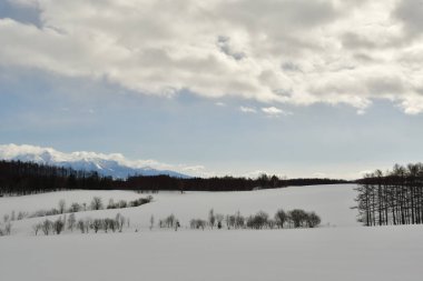 Snow landscape in Hokkaido hills near Biei Japan Nature beauty. High quality photo clipart