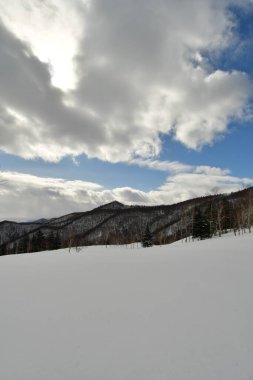 Biei Japon Doğa güzelliği yakınlarındaki Hokkaido tepelerinde kar manzarası. Yüksek kalite fotoğraf