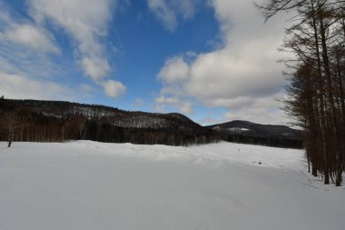 Biei Japon Doğa güzelliği yakınlarındaki Hokkaido tepelerinde kar manzarası. Yüksek kalite fotoğraf