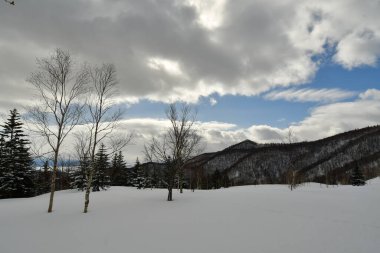 Biei Japon Doğa güzelliği yakınlarındaki Hokkaido tepelerinde kar manzarası. Yüksek kalite fotoğraf