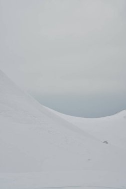 Hokkaido Japonya Kış Peyzajı Ağaçları kayak sporu. Yüksek kalite fotoğraf