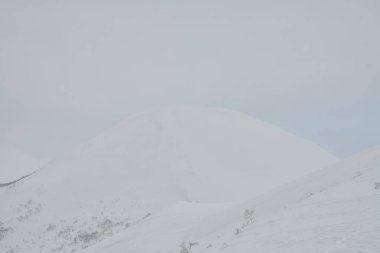 Hokkaido Japonya Kış Peyzajı Ağaçları kayak sporu. Yüksek kalite fotoğraf