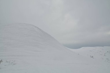 Hokkaido Japonya Kış Peyzajı Ağaçları kayak sporu. Yüksek kalite fotoğraf