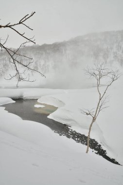 Hokkaido japan 'da karlı doğal bir onsen. Yüksek kalite fotoğraf