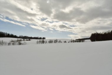 Biei Japon Doğa güzelliği yakınlarındaki Hokkaido tepelerinde kar manzarası. Yüksek kalite fotoğraf