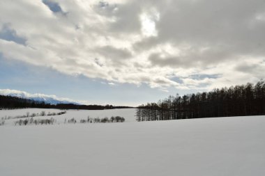 Biei Japon Doğa güzelliği yakınlarındaki Hokkaido tepelerinde kar manzarası. Yüksek kalite fotoğraf