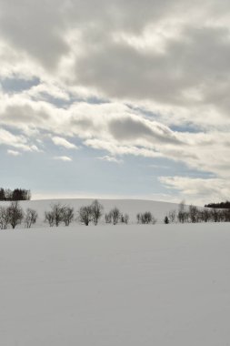 Biei Japon Doğa güzelliği yakınlarındaki Hokkaido tepelerinde kar manzarası. Yüksek kalite fotoğraf