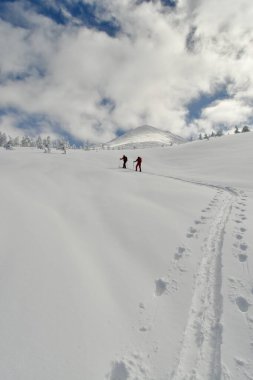 Kayak Turu Hokkaido Japonya Biei Fuji Mavi Dağ Sahnesi Ormanı Karları. Yüksek kalite fotoğraf