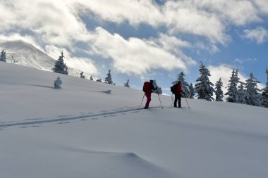 Kayak Turu Hokkaido Japonya Biei Fuji Mavi Dağ Sahnesi Ormanı Karları. Yüksek kalite fotoğraf
