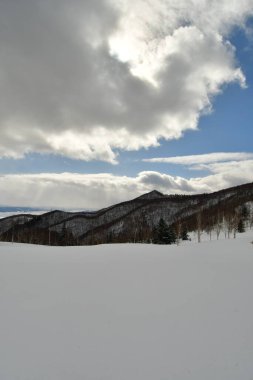 Biei Japon Doğa güzelliği yakınlarındaki Hokkaido tepelerinde kar manzarası. Yüksek kalite fotoğraf