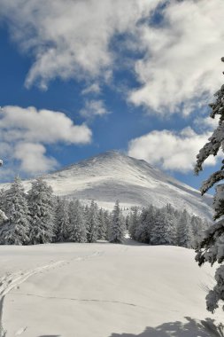 Kış Dağı Manzarası Biei Fuji Hokkaido Dağı Japonya. Yüksek kalite fotoğraf