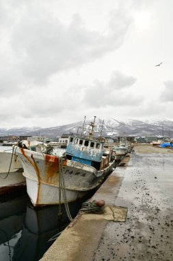 Hokkaido Kayıp Bölgesi 'ndeki Japon limanı iwanai' de kalamar balıkçı teknesi. Yüksek kalite fotoğraf