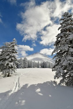Winter Mountain Landscape Mount Biei Fuji Hokkaido Japan. High quality photo clipart