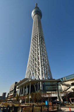 Tokyo Gökyüzü Ağacı Japonya TV Kulesi manzarası. Yüksek kalite fotoğraf