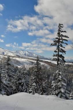 Kış Dağı Manzarası Biei Fuji Hokkaido Dağı Japonya. Yüksek kalite fotoğraf