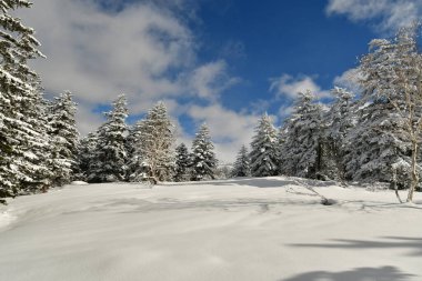 Kış Dağı Manzarası Biei Fuji Hokkaido Dağı Japonya. Yüksek kalite fotoğraf