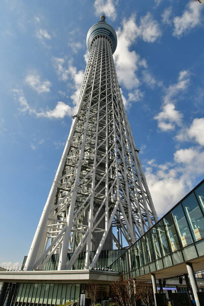 Японская телебашня Tokyo Sky Tree. Высокое качество фото