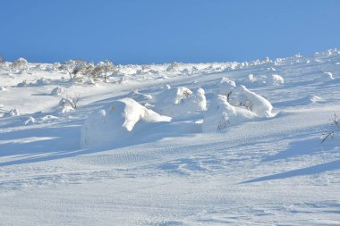 Yotei Volkan Dağı panoramik olarak Japonya Hokkaido 'da kış aylarında kayak turuna çıkar. Yüksek kalite fotoğraf