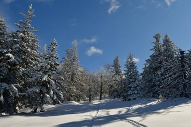 Kış Dağı Manzarası Biei Fuji Hokkaido Dağı Japonya. Yüksek kalite fotoğraf