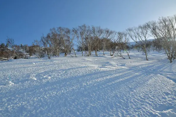 Yotei Ascent Sunny Day Views Winter Snow Ski Touring High — Stock Photo, Image