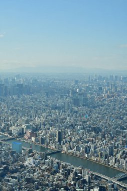 Gökyüzü Ağacı manzaralı Tokyo Şehri manzarası. Yüksek kalite fotoğraf