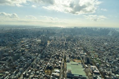 Gökyüzü Ağacı manzaralı Tokyo Şehri manzarası. Yüksek kalite fotoğraf