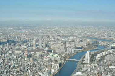 Gökyüzü Ağacı manzaralı Tokyo Şehri manzarası. Yüksek kalite fotoğraf