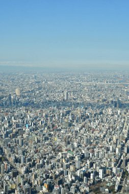 Gökyüzü Ağacı manzaralı Tokyo Şehri manzarası. Yüksek kalite fotoğraf