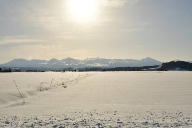 Japon Hokkaido 'sunun kış manzarası biei soğuk kayak pisti yakınlarında. Yüksek kalite fotoğraf