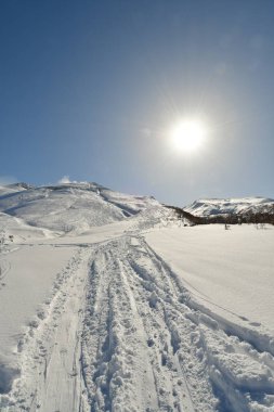 Kışın kar altında kayak turu yapan hokkaido japan güzel bir açık hava manzarası. Yüksek kalite fotoğraf