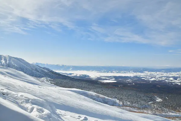 Winter landscape of hokkaido japan near biei snow cold ski. High quality photo