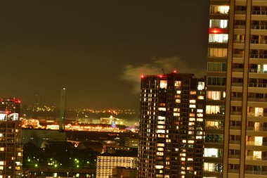 Tokyo geceleri gökdelen nehir köprülerinden manzaralı. Yüksek kalite fotoğraf