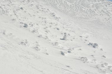 Yotei Volkan Dağı panoramik olarak Japonya Hokkaido 'da kış aylarında kayak turuna çıkar. Yüksek kalite fotoğraf