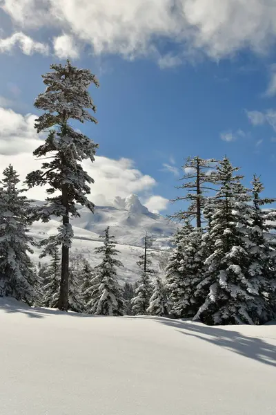 Kış Dağı Manzarası Biei Fuji Hokkaido Dağı Japonya. Yüksek kalite fotoğraf