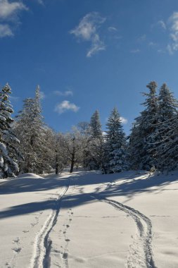 Kış Dağı Manzarası Biei Fuji Hokkaido Dağı Japonya. Yüksek kalite fotoğraf