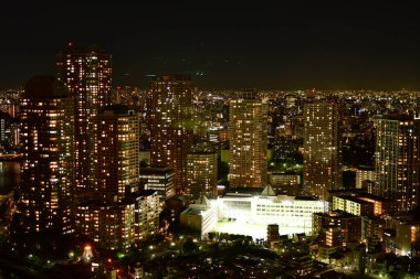 Tokyo geceleri gökdelen nehir köprülerinden manzaralı. Yüksek kalite fotoğraf
