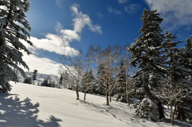 Winter Mountain Landscape Mount Biei Fuji Hokkaido Japan. High quality photo clipart