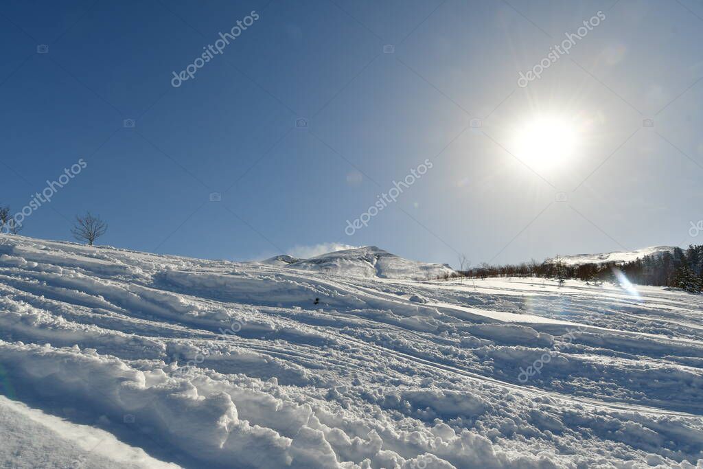 Ski touring hokkaido japan in winter snow beautiful outdoor landscape. High quality photo