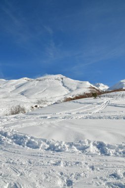 Kışın kar altında kayak turu yapan hokkaido japan güzel bir açık hava manzarası. Yüksek kalite fotoğraf